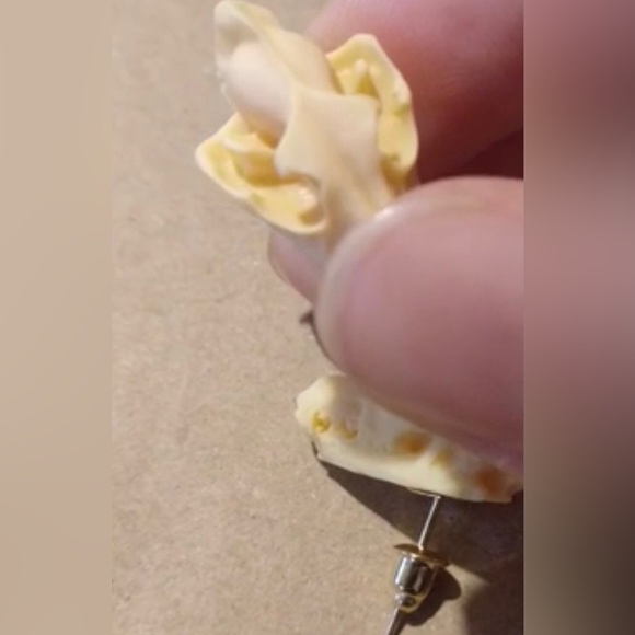 “Animal Skull” Dinosaur Sabertooth Wolf Dog Oddity Creepy Spooky Replica Studs - Picture 8 of 12